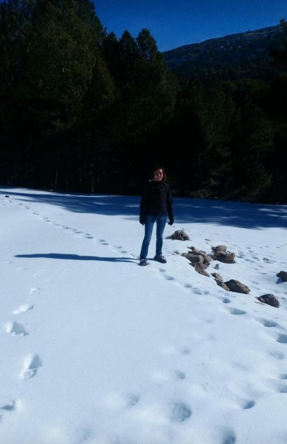 Alojamiento "Destino Cazorla" Dış mekan fotoğraf